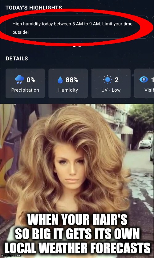 Limit your time outside?! | WHEN YOUR HAIR'S SO BIG IT GETS ITS OWN LOCAL WEATHER FORECASTS | image tagged in memes,humidity,weather forecast,big hair | made w/ Imgflip meme maker