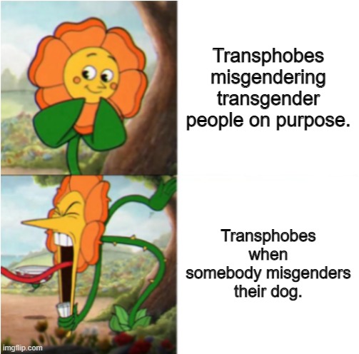 So, an animal that has no sense of gender matters more than a fellow human who has expansive emotions and feelings on gender??? | Transphobes misgendering transgender people on purpose. Transphobes when somebody misgenders their dog. | image tagged in reverse cuphead flower,lgbtq,transgender,transphobic,dogs,illogical | made w/ Imgflip meme maker