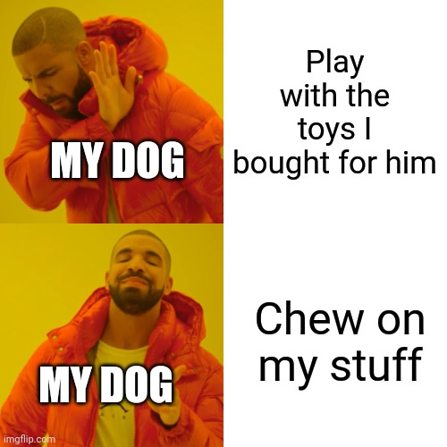I remember my dog was chewing on the mantel and I got grounded for a week | Play with the toys I bought for him; MY DOG; Chew on my stuff; MY DOG | image tagged in memes,drake hotline bling,dogs | made w/ Imgflip meme maker
