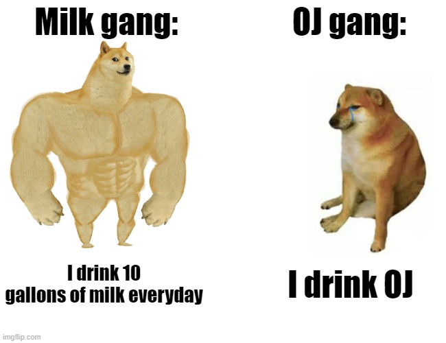 Buff Doge vs. Cheems Meme | Milk gang:; OJ gang:; I drink 10 gallons of milk everyday; I drink OJ | image tagged in memes,buff doge vs cheems | made w/ Imgflip meme maker