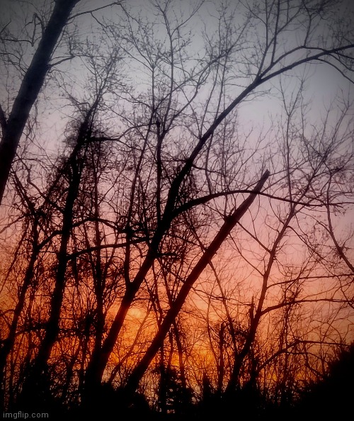 Sky | made w/ Imgflip meme maker