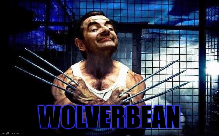 The Hero We Need |  WOLVERBEAN | image tagged in mr bean,wolverine,funny,memes | made w/ Imgflip meme maker
