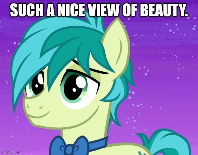 Happy Sandbar (MLP) | SUCH A NICE VIEW OF BEAUTY. | image tagged in happy sandbar mlp | made w/ Imgflip meme maker