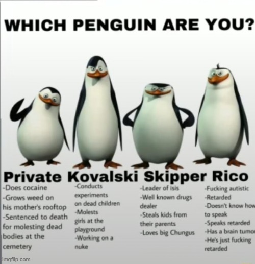 I think I'm Kovalski, how about ya? | image tagged in which penguin are you | made w/ Imgflip meme maker