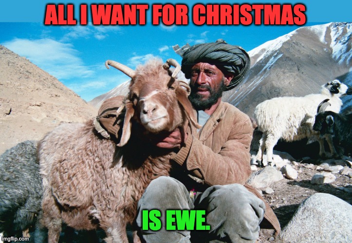 Ewe | ALL I WANT FOR CHRISTMAS; IS EWE. | image tagged in christmas | made w/ Imgflip meme maker