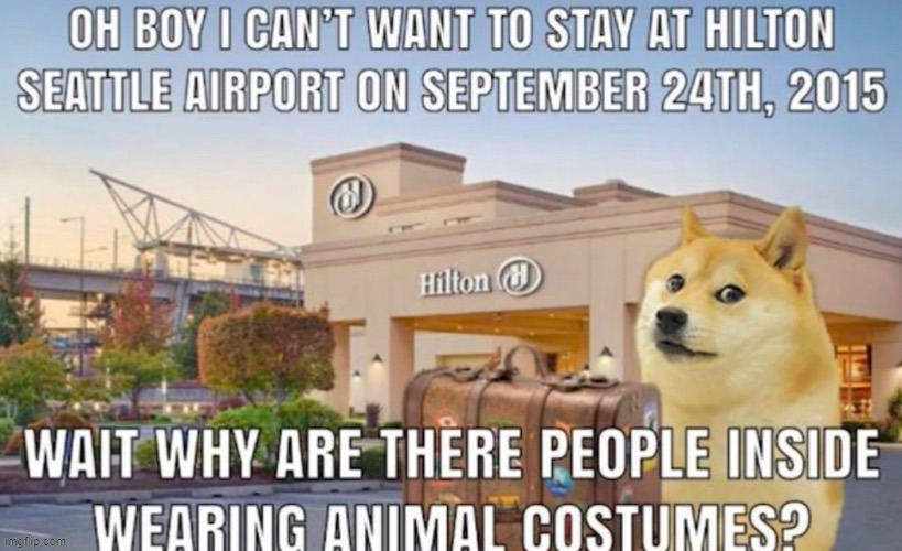 might post a stream's closed meme later | image tagged in rainfurrest | made w/ Imgflip meme maker