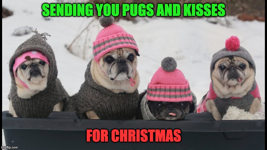 Best wishes | SENDING YOU PUGS AND KISSES; FOR CHRISTMAS | image tagged in bad pun | made w/ Imgflip meme maker