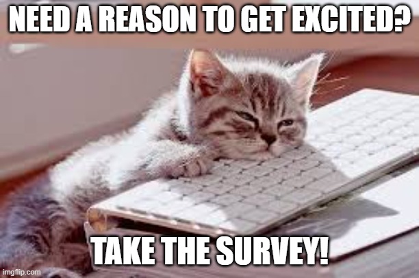 Monday Blues? | NEED A REASON TO GET EXCITED? TAKE THE SURVEY! | image tagged in mondays be like | made w/ Imgflip meme maker