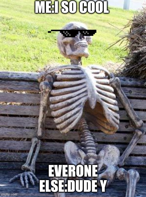 Waiting Skeleton Meme | ME:I SO COOL; EVERONE ELSE:DUDE Y | image tagged in memes,waiting skeleton | made w/ Imgflip meme maker