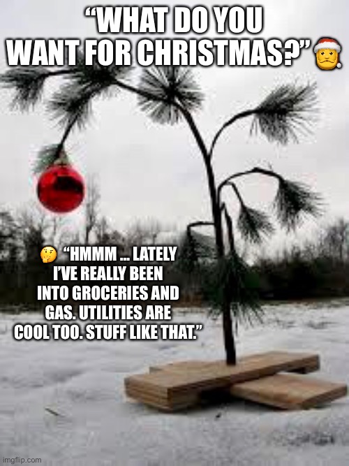 Charlie Brown Christmas |  “WHAT DO YOU WANT FOR CHRISTMAS?”🎅; 🤔  “HMMM … LATELY I’VE REALLY BEEN INTO GROCERIES AND GAS. UTILITIES ARE COOL TOO. STUFF LIKE THAT.” | image tagged in tree groceries,gas,utilities,stuff | made w/ Imgflip meme maker