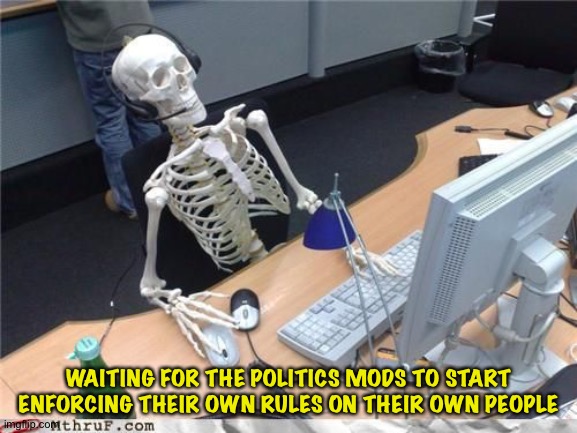 Selective enforcement | WAITING FOR THE POLITICS MODS TO START ENFORCING THEIR OWN RULES ON THEIR OWN PEOPLE | image tagged in skeleton computer | made w/ Imgflip meme maker