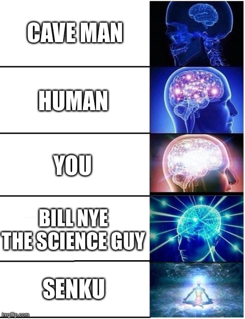 Expanding Brain 5 Panel | CAVE MAN HUMAN YOU BILL NYE THE SCIENCE GUY SENKU | image tagged in expanding brain 5 panel | made w/ Imgflip meme maker