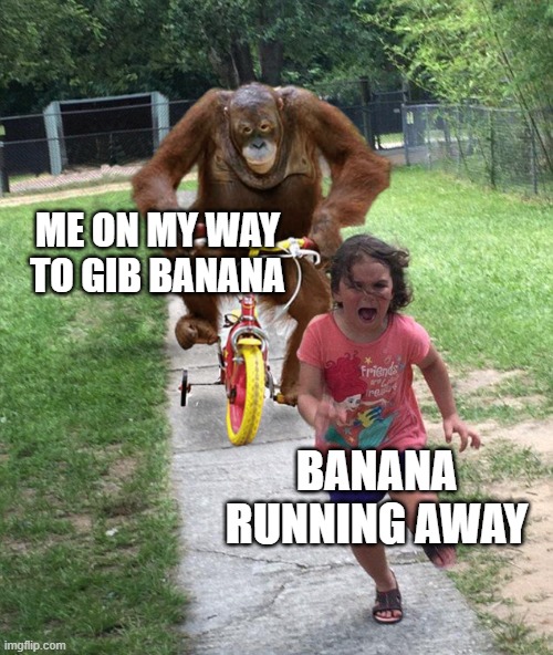 Orangutan chasing girl on a tricycle | ME ON MY WAY TO GIB BANANA BANANA RUNNING AWAY | image tagged in orangutan chasing girl on a tricycle | made w/ Imgflip meme maker