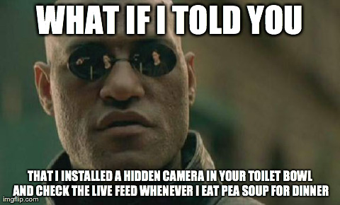 Matrix Morpheus Meme | WHAT IF I TOLD YOU THAT I INSTALLED A HIDDEN CAMERA IN YOUR TOILET BOWL AND CHECK THE LIVE FEED WHENEVER I EAT PEA SOUP FOR DINNER | image tagged in memes,matrix morpheus | made w/ Imgflip meme maker