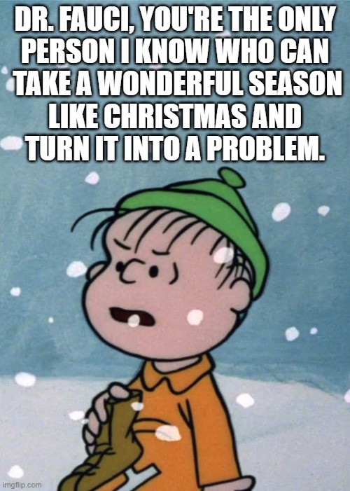 Of all the Dr. Fauci's in the world, you're the Dr. Fauci-est. | DR. FAUCI, YOU'RE THE ONLY
PERSON I KNOW WHO CAN
 TAKE A WONDERFUL SEASON
 LIKE CHRISTMAS AND 
TURN IT INTO A PROBLEM. | image tagged in dr fauci,charlie brown,linus,christmas,covid-19,memes | made w/ Imgflip meme maker