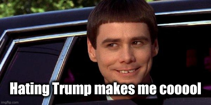 dumb and dumber | Hating Trump makes me cooool | image tagged in dumb and dumber | made w/ Imgflip meme maker