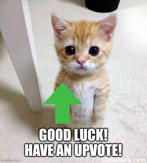 Cute Cat Meme | GOOD LUCK! HAVE AN UPVOTE! | image tagged in memes,cute cat | made w/ Imgflip meme maker