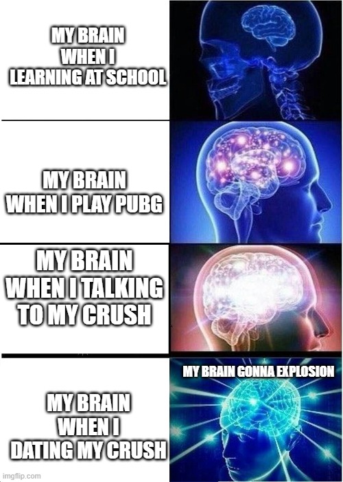 My brain evolutions | MY BRAIN WHEN I LEARNING AT SCHOOL; MY BRAIN WHEN I PLAY PUBG; MY BRAIN WHEN I TALKING TO MY CRUSH; MY BRAIN GONNA EXPLOSION; MY BRAIN WHEN I DATING MY CRUSH | image tagged in memes,expanding brain | made w/ Imgflip meme maker