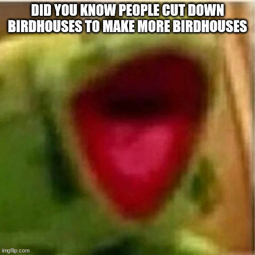 AHHHHHHHHHHHHH | DID YOU KNOW PEOPLE CUT DOWN BIRDHOUSES TO MAKE MORE BIRDHOUSES | image tagged in ahhhhhhhhhhhhh | made w/ Imgflip meme maker