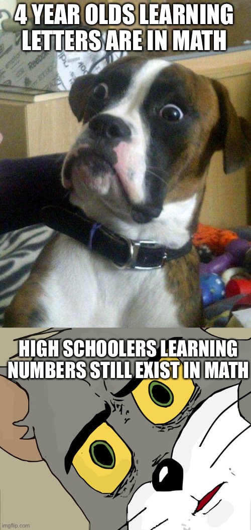 lol this is me |  4 YEAR OLDS LEARNING LETTERS ARE IN MATH; HIGH SCHOOLERS LEARNING NUMBERS STILL EXIST IN MATH | image tagged in blankie the shocked dog,memes,unsettled tom,middle school,algebra | made w/ Imgflip meme maker