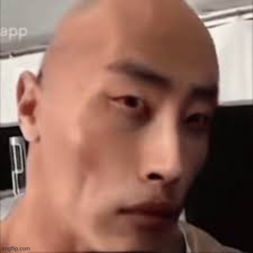 The wok!???!!??1?1!!11!1 | image tagged in the wok 1 1 11 1 | made w/ Imgflip meme maker
