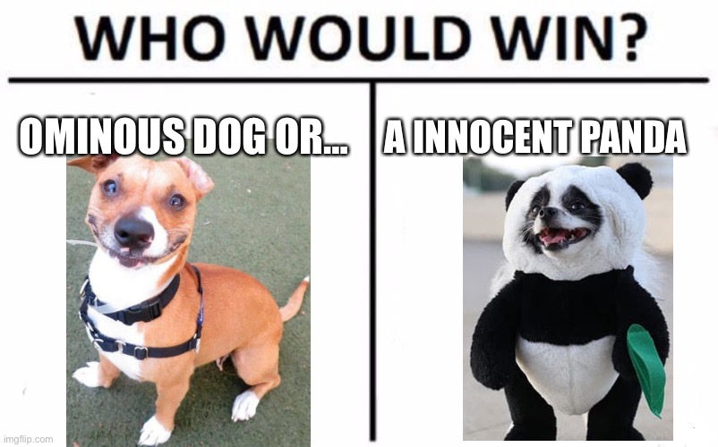 Who will win? | OMINOUS DOG OR…; A INNOCENT PANDA | image tagged in memes,who would win | made w/ Imgflip meme maker