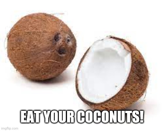 YOU JUST GOT COCONUT MALLED | EAT YOUR COCONUTS! | image tagged in you just got coconut malled | made w/ Imgflip meme maker