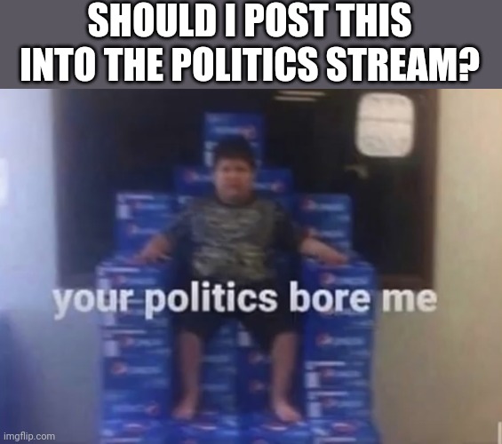 Time to do the funny...4 upvotes then | SHOULD I POST THIS INTO THE POLITICS STREAM? | image tagged in your politics bore me | made w/ Imgflip meme maker