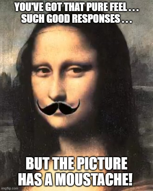 The Picture Has a Mustache | YOU'VE GOT THAT PURE FEEL . . .
SUCH GOOD RESPONSES . . . BUT THE PICTURE HAS A MOUSTACHE! | image tagged in mona lisa,mustache,swlabr,cream | made w/ Imgflip meme maker