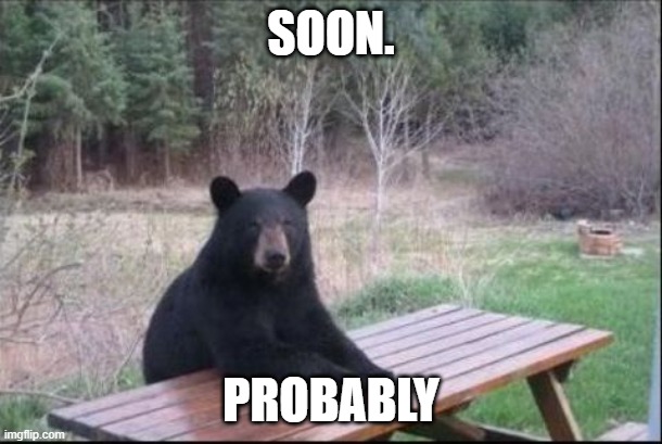 patient bear | SOON. PROBABLY | image tagged in patient bear | made w/ Imgflip meme maker