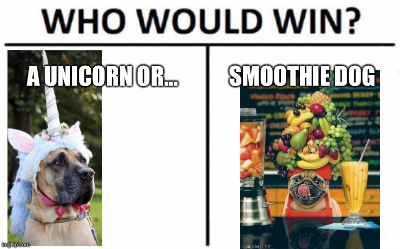 Go smoothie!!! | A UNICORN OR…; SMOOTHIE DOG | image tagged in memes,who would win | made w/ Imgflip meme maker
