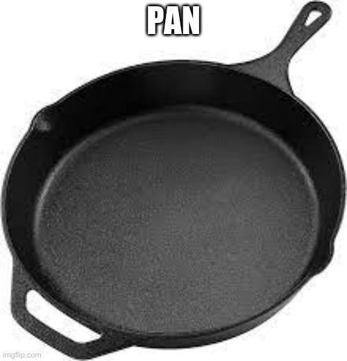 pan | PAN | image tagged in fry | made w/ Imgflip meme maker