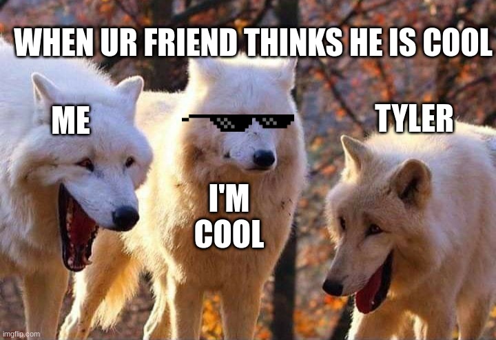 Laughing wolf | WHEN UR FRIEND THINKS HE IS COOL; TYLER; ME; I'M COOL | image tagged in laughing wolf | made w/ Imgflip meme maker