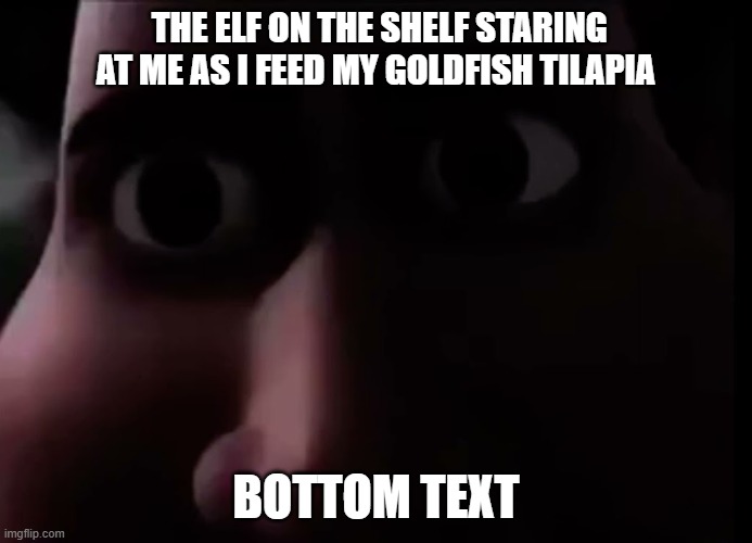 lowkey kinda work | THE ELF ON THE SHELF STARING AT ME AS I FEED MY GOLDFISH TILAPIA; BOTTOM TEXT | image tagged in funny,wait what | made w/ Imgflip meme maker