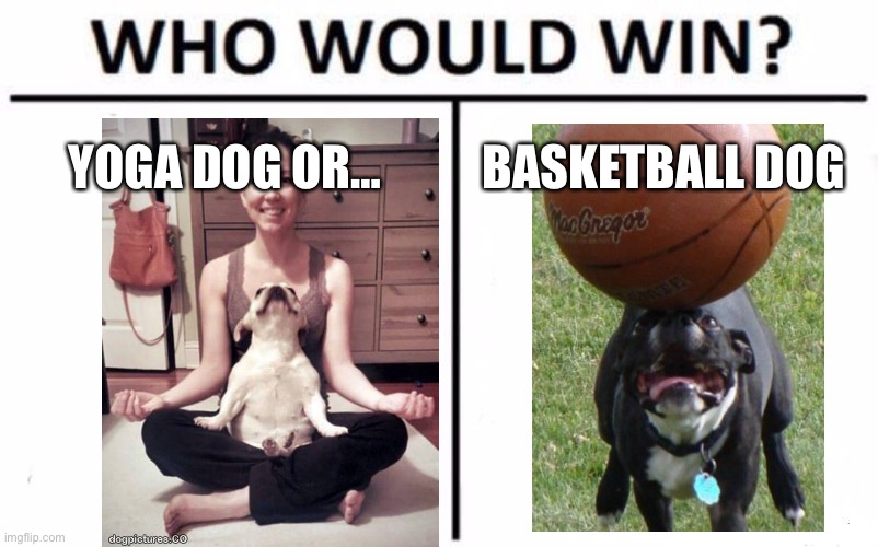 Who will win? | YOGA DOG OR…; BASKETBALL DOG | image tagged in memes,who would win | made w/ Imgflip meme maker