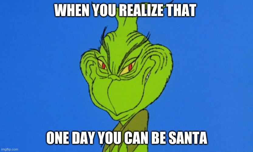 Let that sink in | WHEN YOU REALIZE THAT; ONE DAY YOU CAN BE SANTA | image tagged in grinch,santa | made w/ Imgflip meme maker