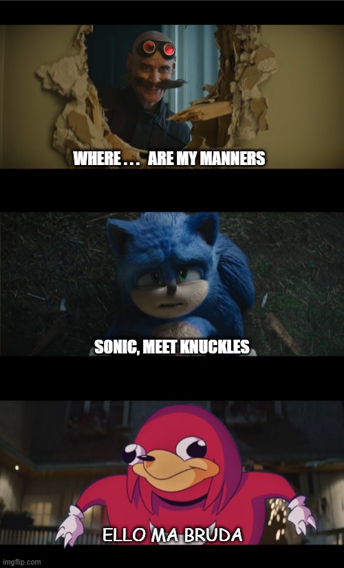 Sonic2 Knuckles introduction |  WHERE . . .   ARE MY MANNERS; SONIC, MEET KNUCKLES; ELLO MA BRUDA | image tagged in sonic2,sonic the hedgehog,jim carrey,knuckles,ugandan knuckles | made w/ Imgflip meme maker