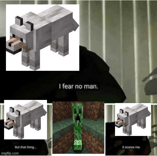 I fear no man | image tagged in i fear no man | made w/ Imgflip meme maker