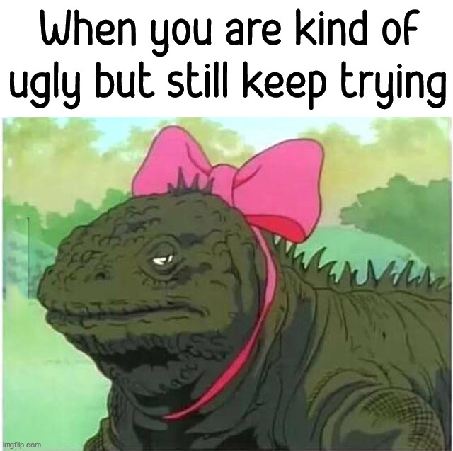  When you are kind of ugly but still keep trying | image tagged in insults | made w/ Imgflip meme maker