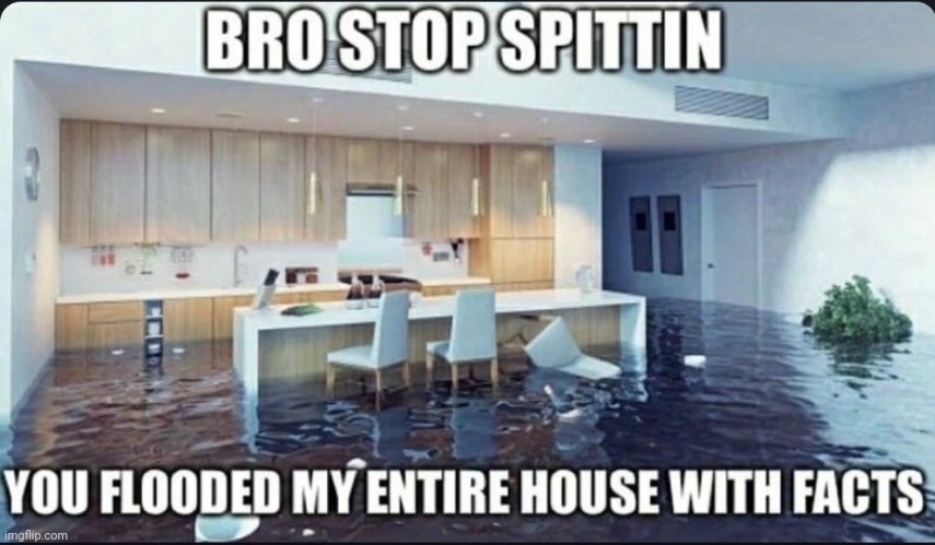 Spitting facts | image tagged in spitting facts | made w/ Imgflip meme maker