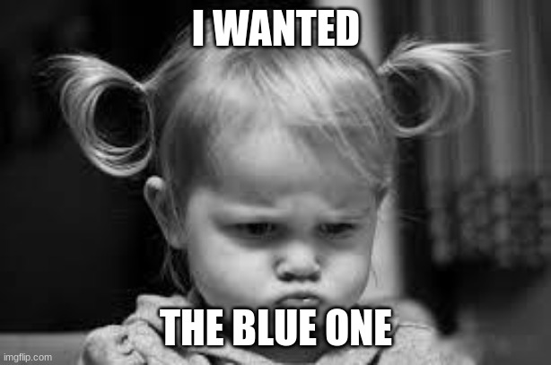 Pouting Toddler | I WANTED THE BLUE ONE | image tagged in pouting toddler | made w/ Imgflip meme maker