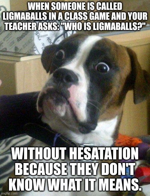 Blankie the Shocked Dog | WHEN SOMEONE IS CALLED LIGMABALLS IN A CLASS GAME AND YOUR TEACHER ASKS: "WHO IS LIGMABALLS?"; WITHOUT HESATATION BECAUSE THEY DON'T KNOW WHAT IT MEANS. | image tagged in blankie the shocked dog | made w/ Imgflip meme maker