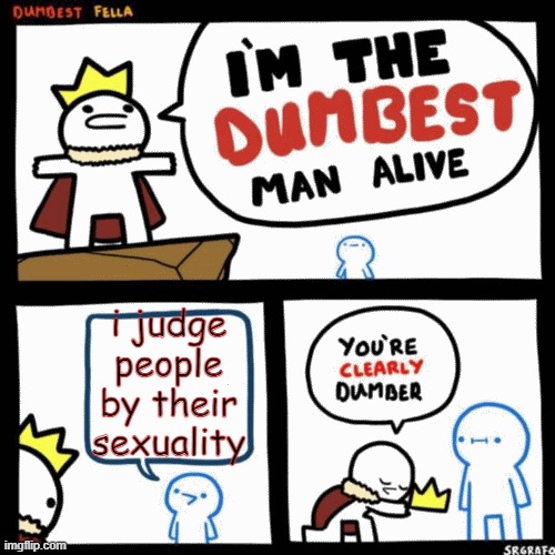 do you are have stoopid | i judge people by their sexuality | image tagged in i'm the dumbest man alive | made w/ Imgflip meme maker