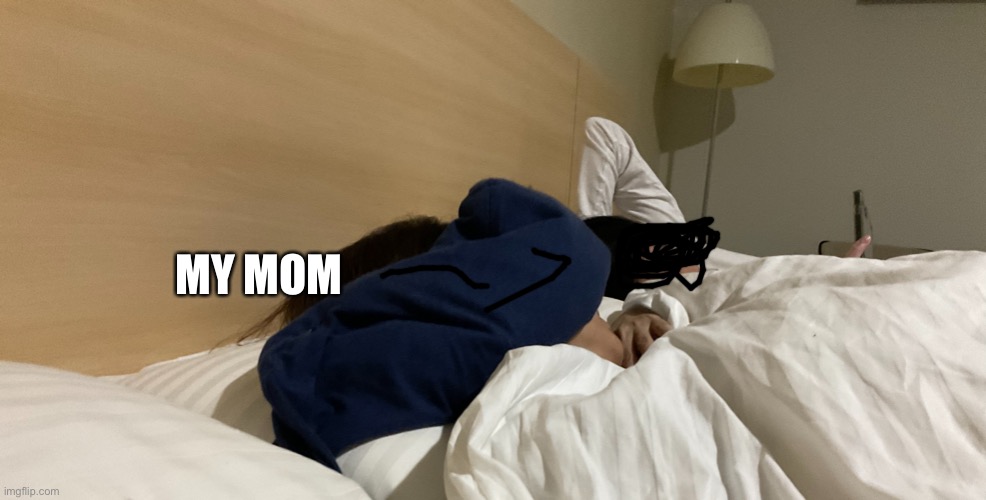 the other person is my brother ok | MY MOM | image tagged in craig | made w/ Imgflip meme maker