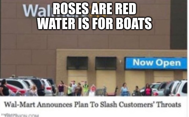 roses are red, water is for boats | ROSES ARE RED
WATER IS FOR BOATS | image tagged in roses are red | made w/ Imgflip meme maker