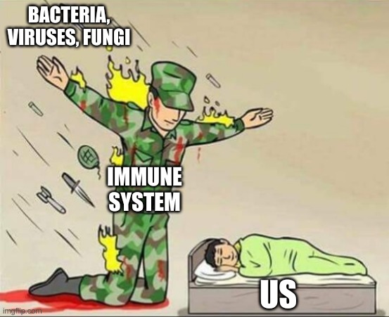 It True Though | BACTERIA, VIRUSES, FUNGI; IMMUNE SYSTEM; US | image tagged in soldier protecting sleeping child | made w/ Imgflip meme maker