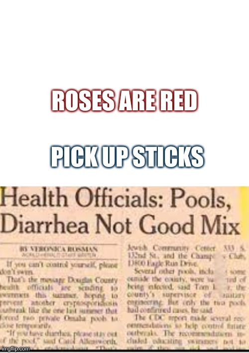 You don't say |  ROSES ARE RED; PICK UP STICKS | image tagged in blank white template,dumb,excuse me what,you don't say,you dont say | made w/ Imgflip meme maker