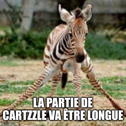 Wobbly | LA PARTIE DE CARTZZLE VA ÊTRE LONGUE | image tagged in wobbly | made w/ Imgflip meme maker