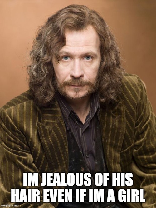 Sirius | IM JEALOUS OF HIS HAIR EVEN IF IM A GIRL | image tagged in sirius | made w/ Imgflip meme maker