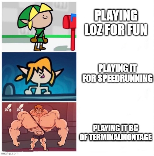 I started Playing LOZ because of terminal montage Lol | PLAYING LOZ FOR FUN; PLAYING IT FOR SPEEDRUNNING; PLAYING IT BC OF TERMINALMONTAGE | image tagged in terminalmontage link | made w/ Imgflip meme maker